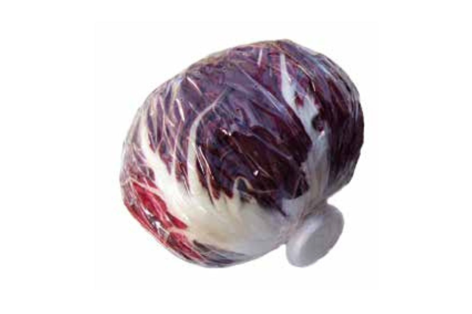 Wrapped lettuce heads